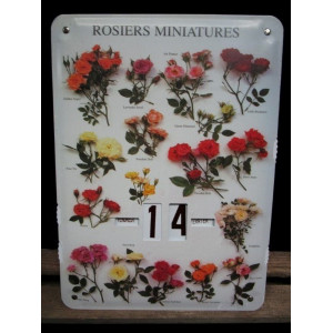 Vintage ijzeren draai kalender Rozen, 27 x 37 cm. 1 stuks