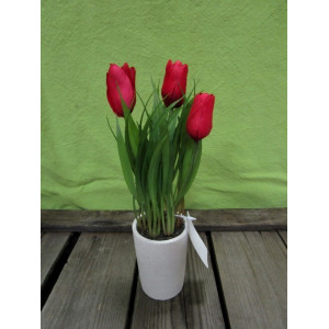 Countryfield rode tulp, 3 bloem in wit aardewerk potje, 6 stuks