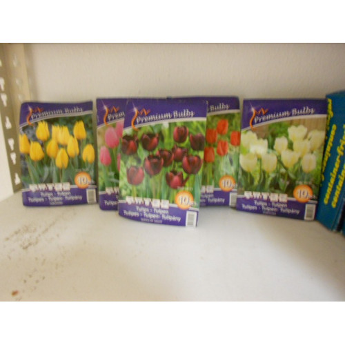 5 dozen a 10 tulpenbollen div kleuren