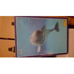 Puzzle dolfijn 1 stuks