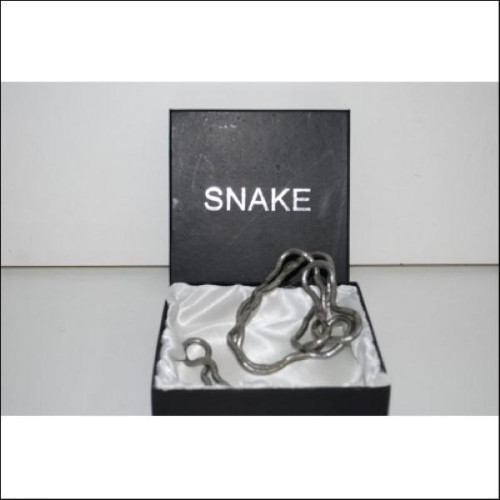 1 Set Snake Ketting en Armband