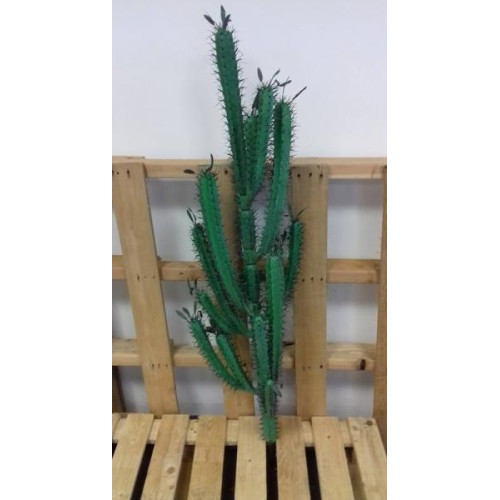 8 x kunst cactus +/- 120cm 