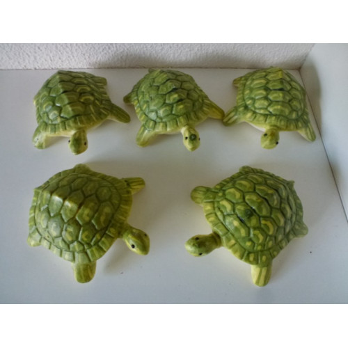 Decoratieve schildpadjes 5 stuks