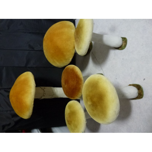 Decoratieve paddenstoelen 6 stuks