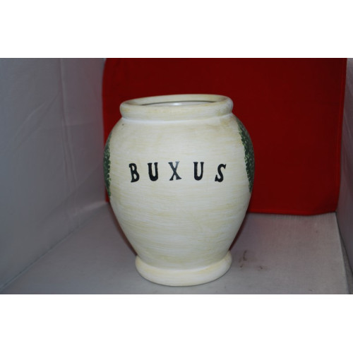 1x Buxus pot van steen