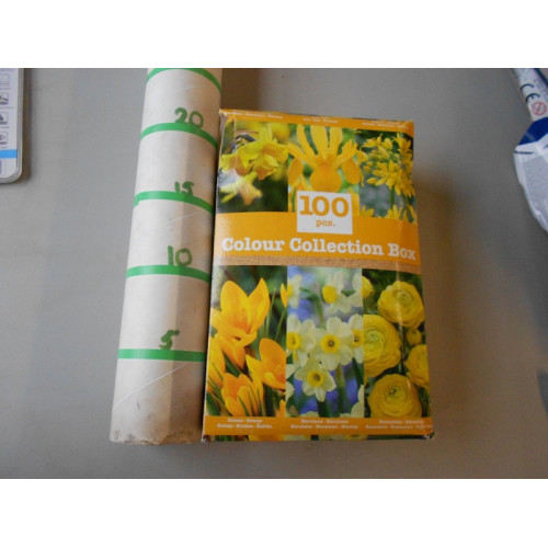 box bloembollen 100 stuks, geel, doos kan iets gedeukt zijn