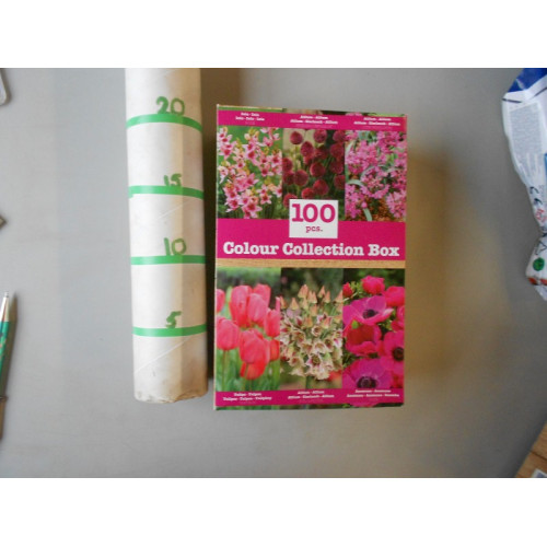 box bloembollen 100 stuks, rose, doos kan iets gedeukt zijn