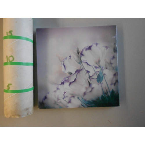 canvas paarse bloem