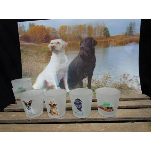 Sunny dog glas waxinelicht houder en 3D hondenfoto plastic, totaal 7 stuks