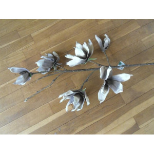 Foam Magnolia taupe, 105 cm, 12 stuks