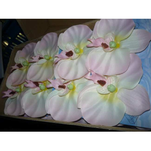 Orchidee plakbaak gemengd 144 stuks