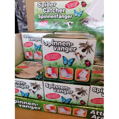 Spinnenvangers  display  24 stuks