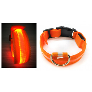 LED halsbanden voor hond, maat m- 57 cm, oranje,8 stuks