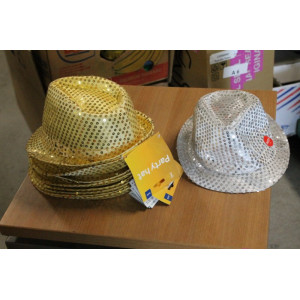 Golden hoed 8x  1 x  zilver met Licht  ds 56