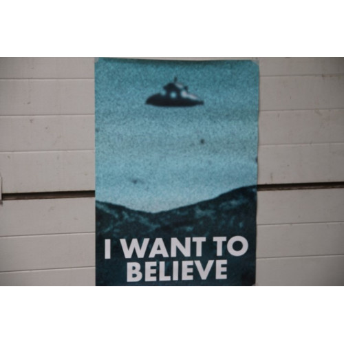 Poster P382 I want to believe