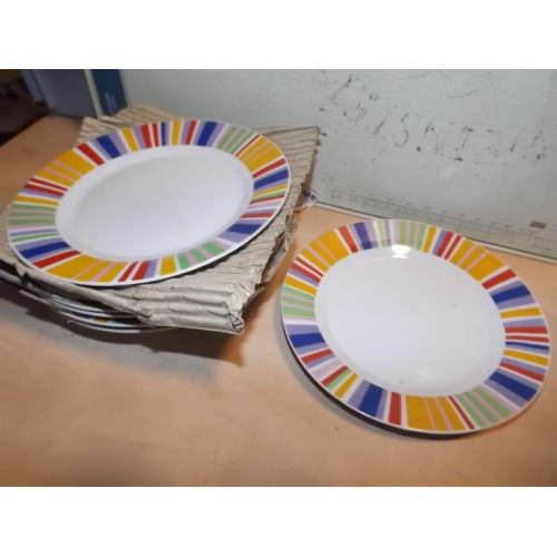 Gekleurde borden (8x)