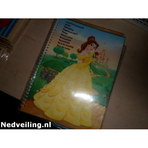 5x Notitieboek A4 Disney prinses