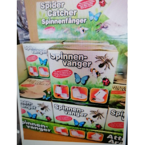 Spinnenvangers doos a 12 stuks