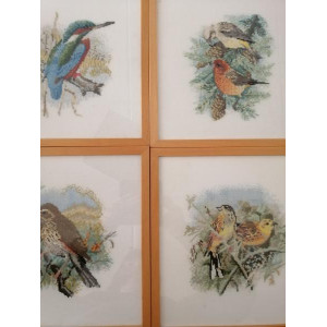 6  schilderijen van vogels
