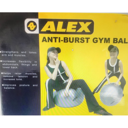 Alex Anti-Burst Gym Ball