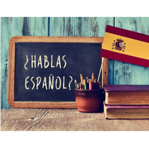 Online Beginnerscursus Spaans