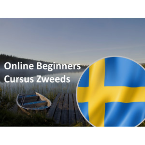 Online Beginnerscursus Zweeds