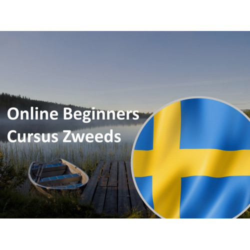 Online Beginnerscursus Zweeds