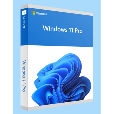 Windows 11 Pro Cursus + Software Licentie