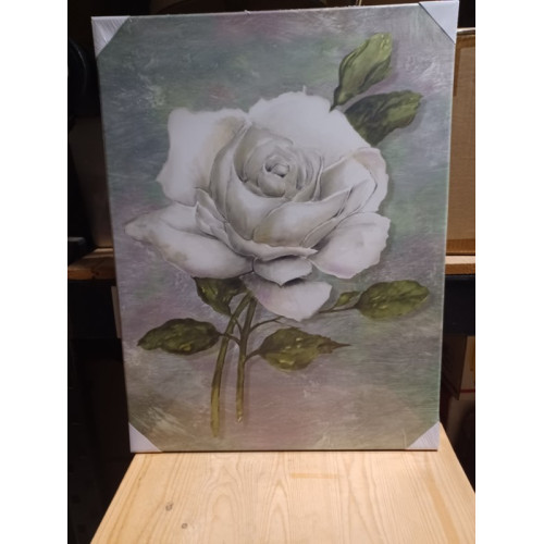 Canvas roos wit in bloei 47x62cm aantal 2 stuks.