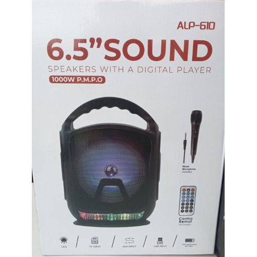 bleutooth speaker 6,5sound disco led incl microfoon