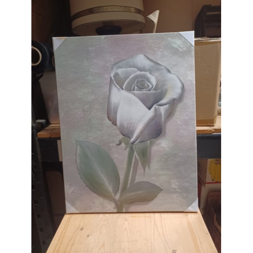 Canvas roos wit in knop 47x62cm aantal 1 stuks.